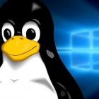 为什么你应该放弃 Windows10 而选择 Linux