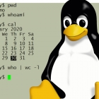 Linux 命令行简介