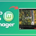 很快你就能在 Linux Mint 上将任何网站转化为桌面应用程序了