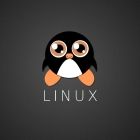 安装 Linux，只需三步