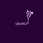 如何在 Ubuntu 服务器上安装桌面环境（GUI）