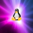 你的 Linux 启动时有几只小企鹅？